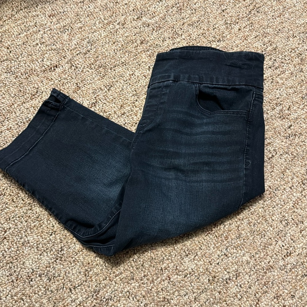 Gloria Vanderbilt All Around Slimming Effect Amanda jean capris 10P